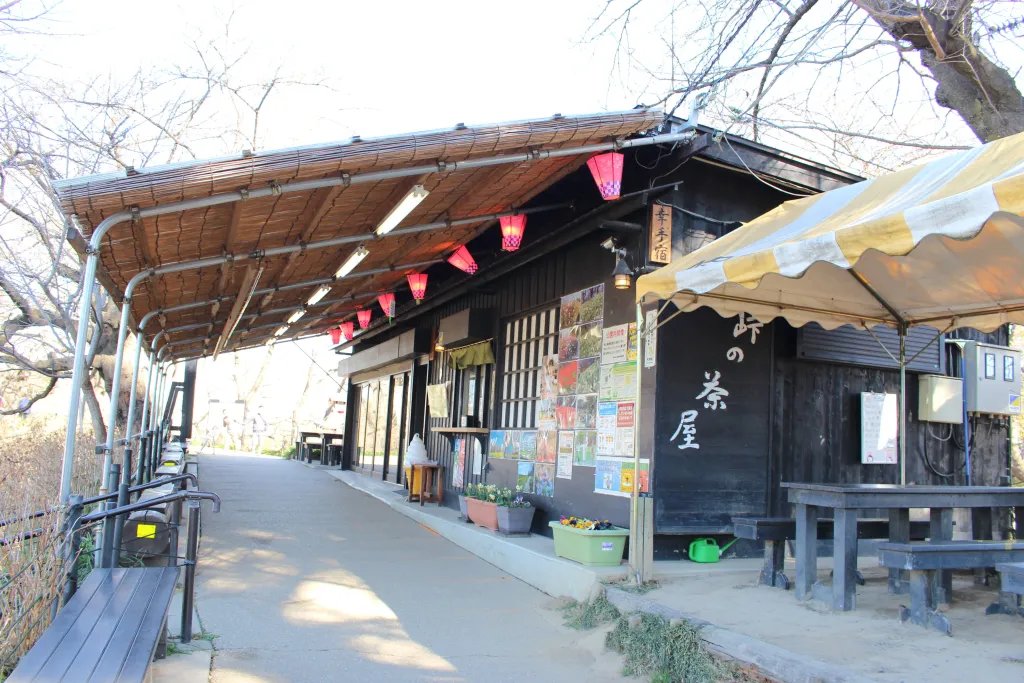 🌸 곤겐도 제방 (곤겐도 츠츠미) 이미지 12